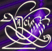 NARCISS-Logo