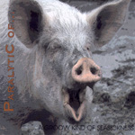 PARALYTIC OF...-CD-Cover