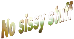 NO SISSY STUFF-Logo