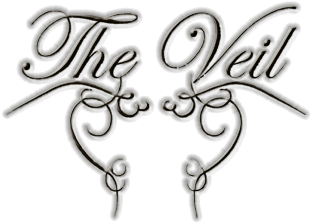 THE VEIL-Logo