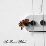 AS ROSES BLEED-CD-Cover