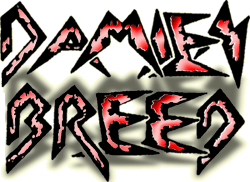 DAMIEN BREED-Logo