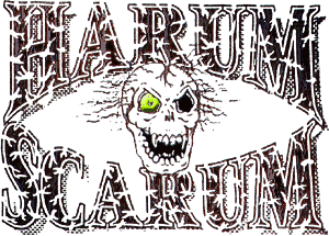 HARUM SCARUM (US, CA)-Logo