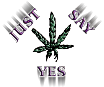 JUST SAY YES-Logo