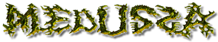 MEDUSSA-Logo