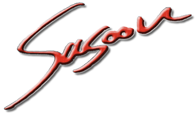 SASOON-Logo